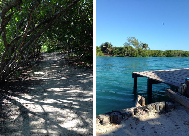 Mangrove tree tunnels and The Split